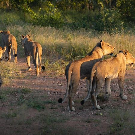 Milima Big 5 Safari Lodge โฮดสปรูท ภายนอก รูปภาพ