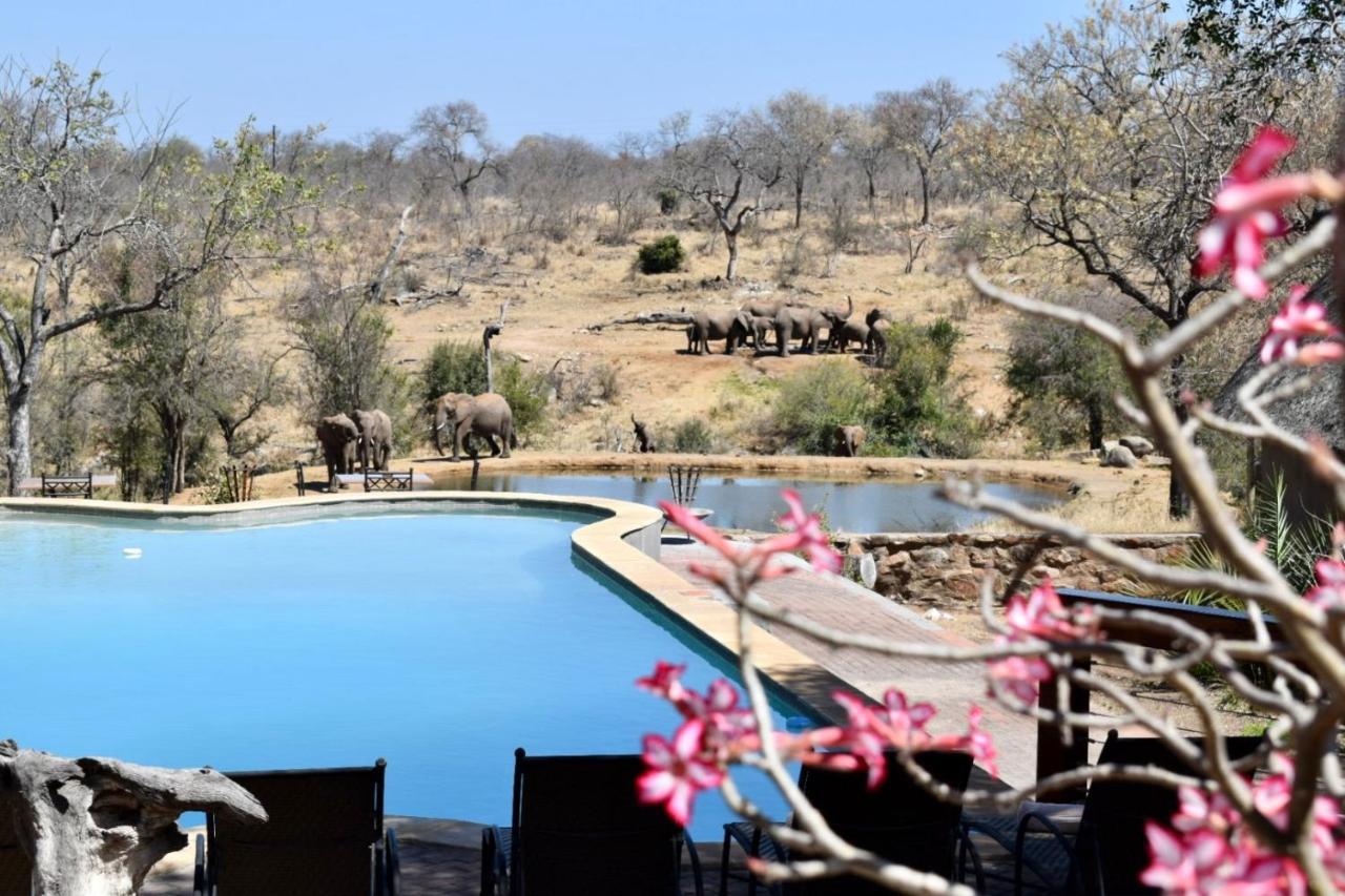 Milima Big 5 Safari Lodge โฮดสปรูท ภายนอก รูปภาพ