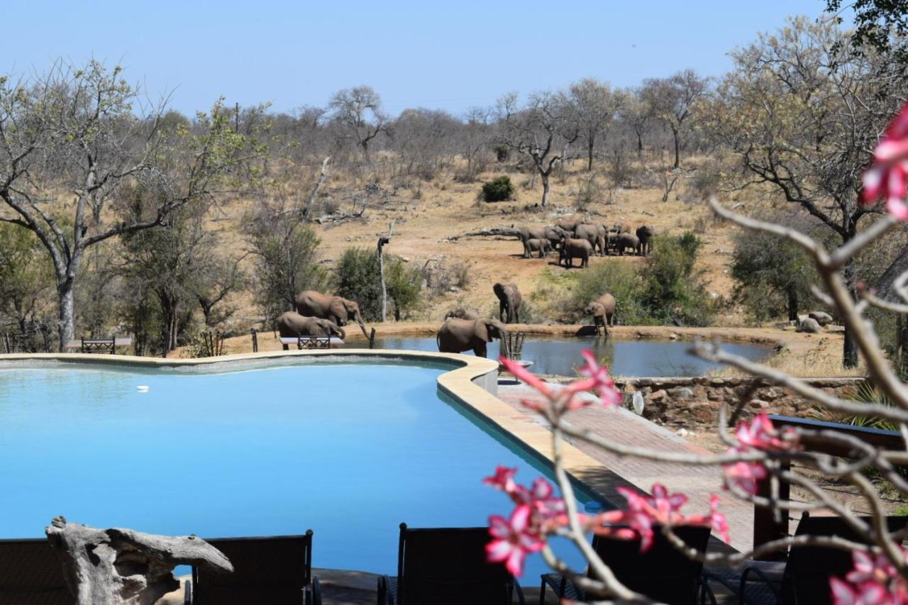 Milima Big 5 Safari Lodge โฮดสปรูท ภายนอก รูปภาพ