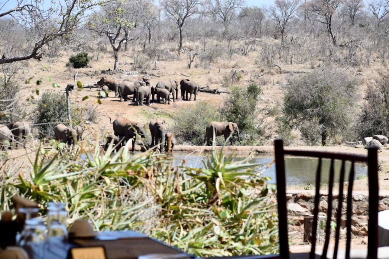 Milima Big 5 Safari Lodge โฮดสปรูท ภายนอก รูปภาพ