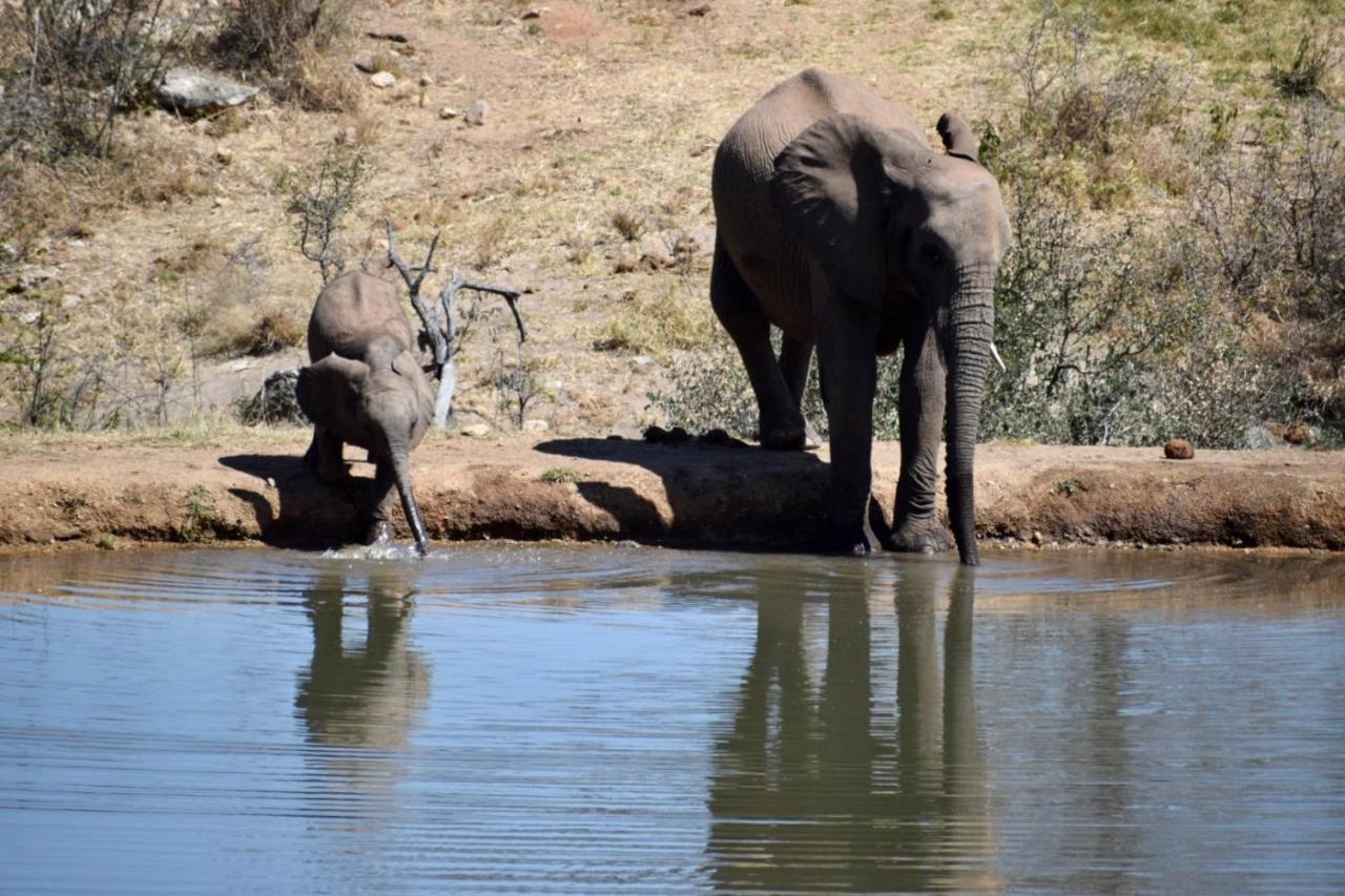Milima Big 5 Safari Lodge โฮดสปรูท ภายนอก รูปภาพ