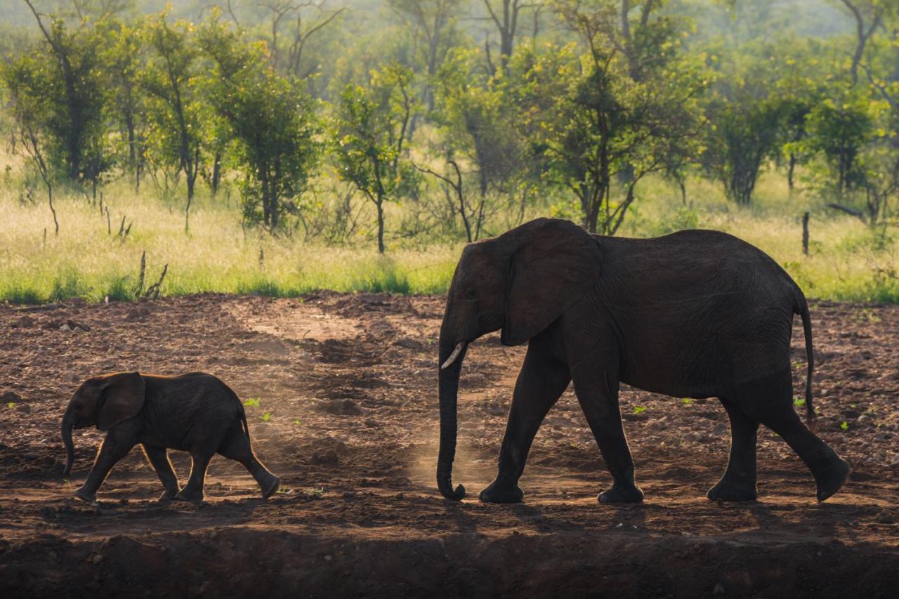 Milima Big 5 Safari Lodge โฮดสปรูท ภายนอก รูปภาพ