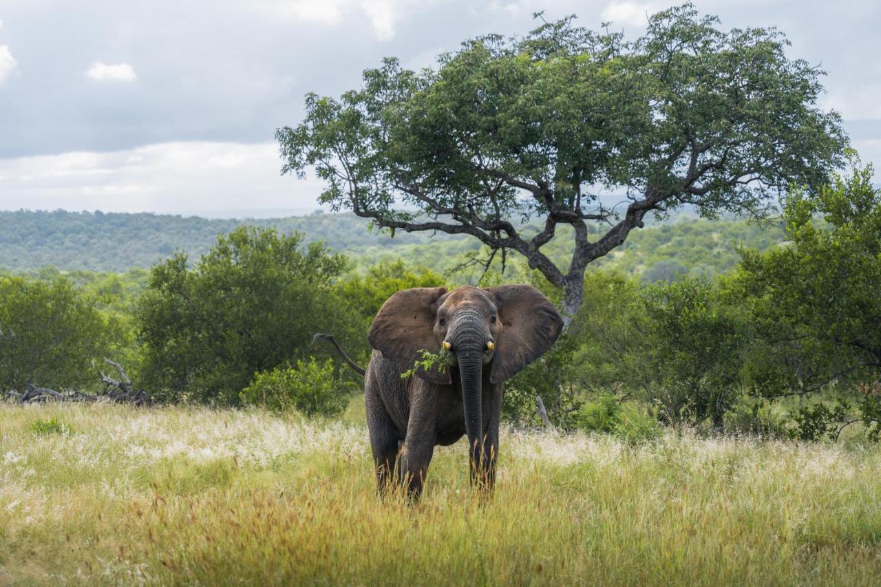 Milima Big 5 Safari Lodge โฮดสปรูท ภายนอก รูปภาพ